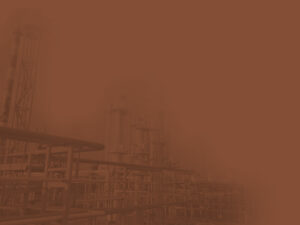 Critical Infrastructure & Anti-Terrorism Security Consultant Background